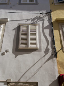 Wall Snake