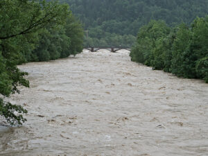 Domestic Flood