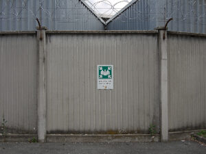 raccolta, punta di