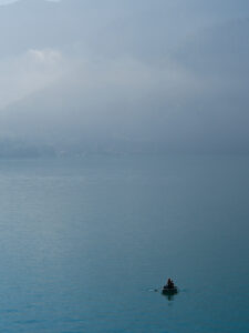 Into The Fog