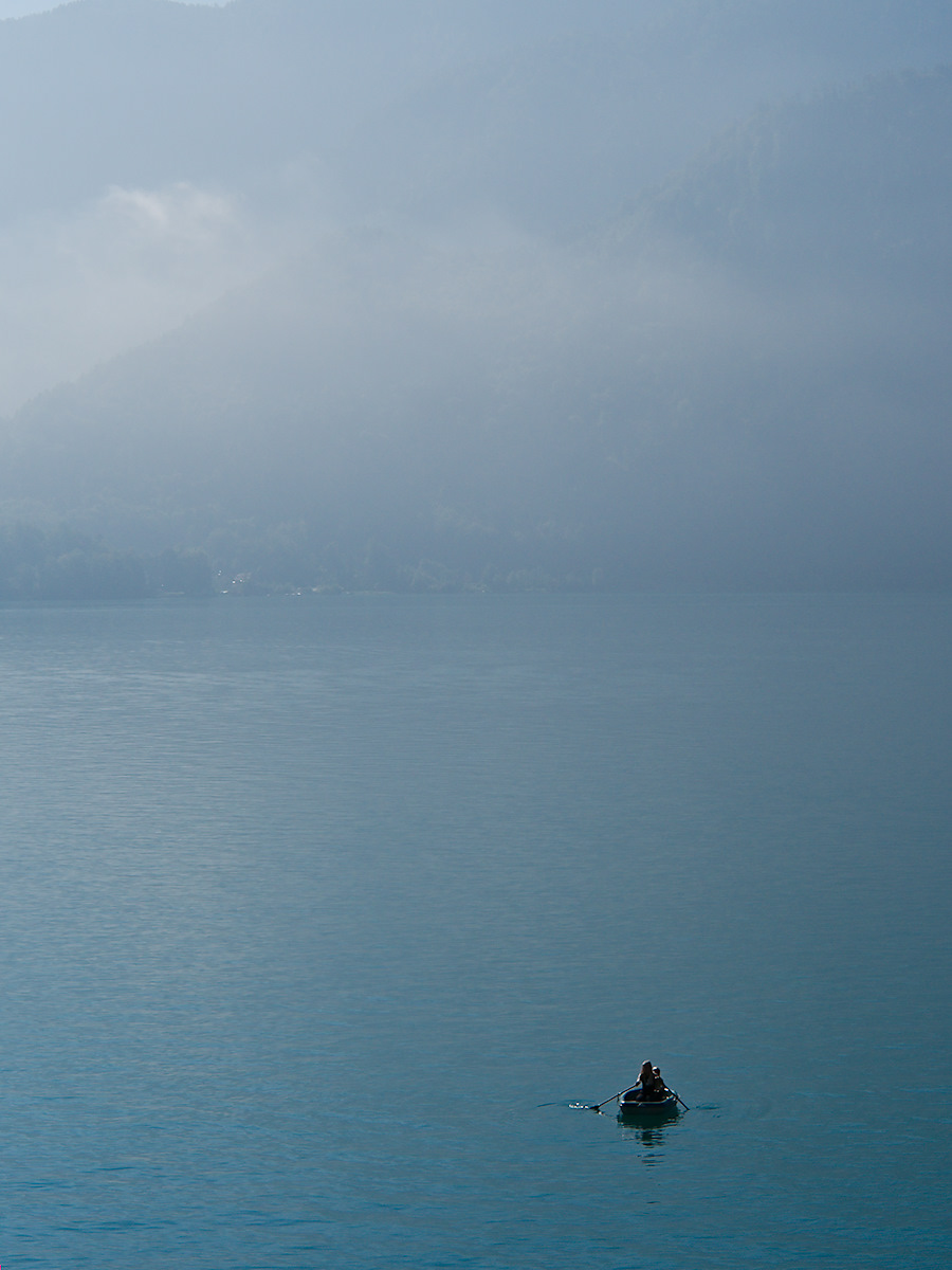 Into The Fog