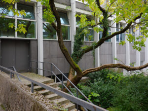 Jungle Vestige