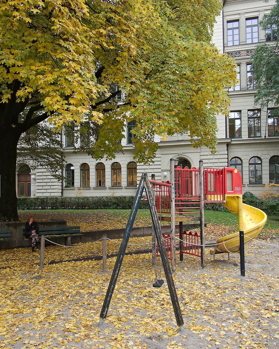 Under The Tree
