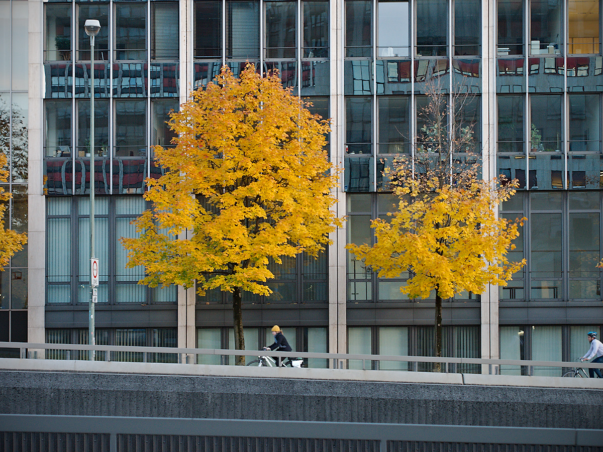 Fall In The City