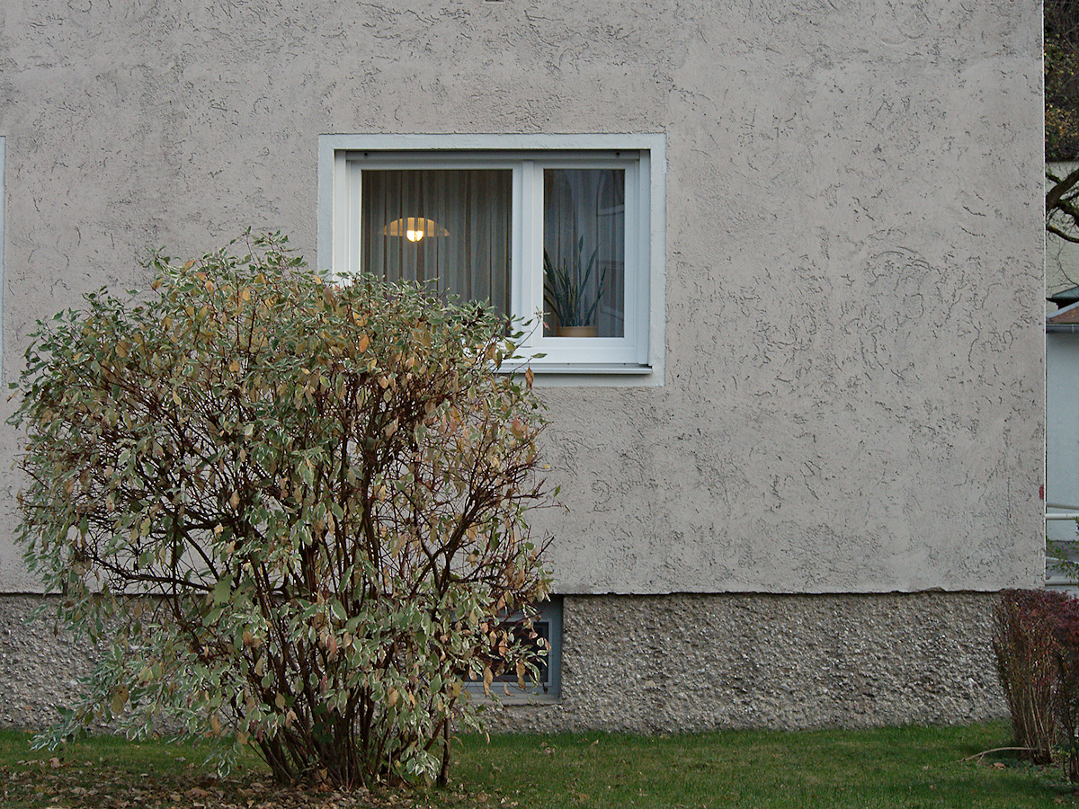 Green, Fading Away