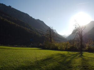 Long Shadows, Hard Backlight