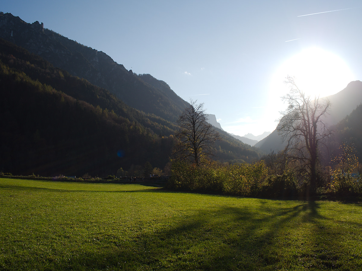 Long Shadows, Hard Backlight