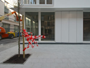 The Answer My Friend