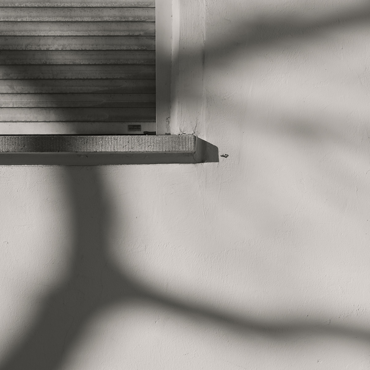New Gallery „Tree Shadows“