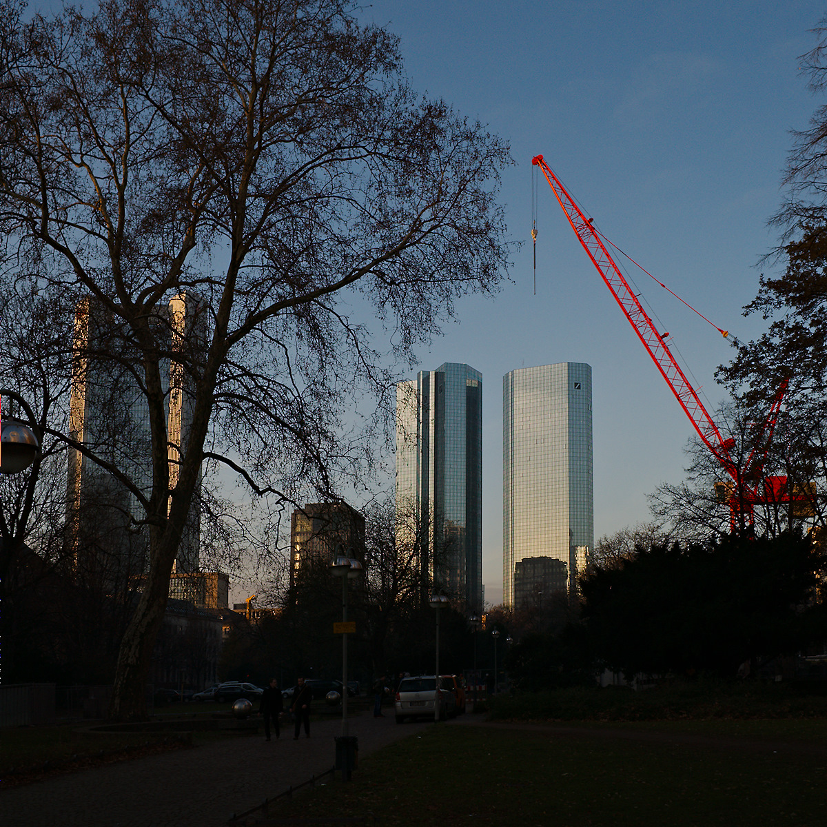 Planting Another High Riser