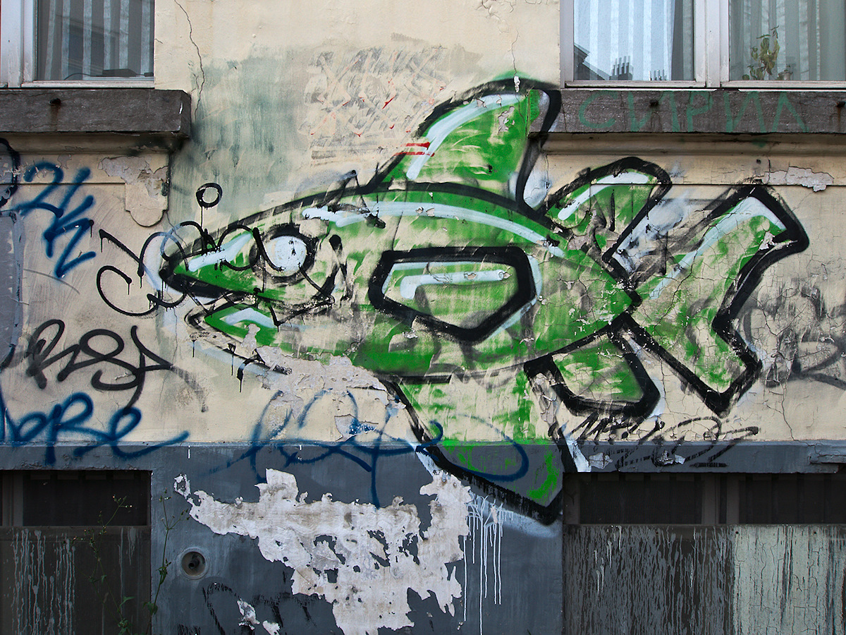 Wallfish