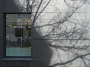 Rear Window