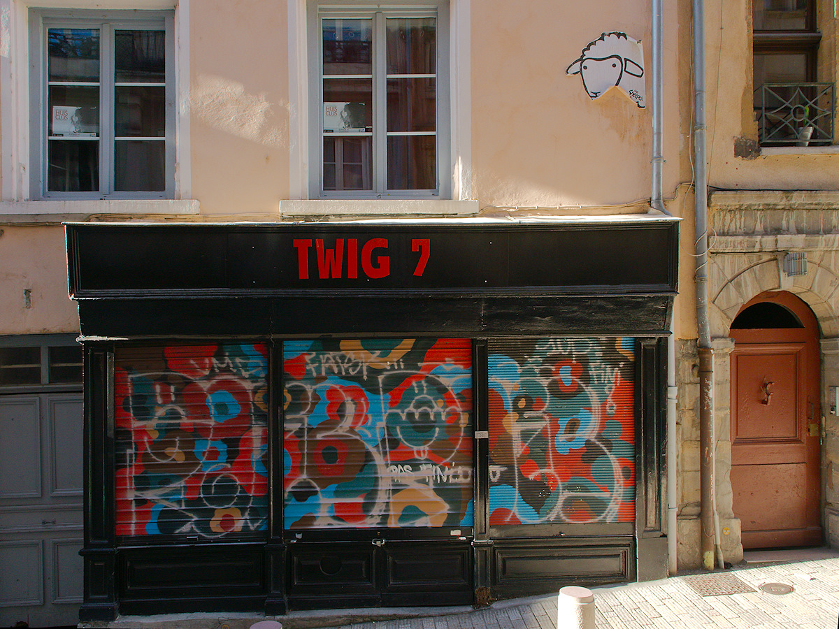 Twig 7