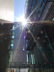 Lucy In The Sky With Diamonds