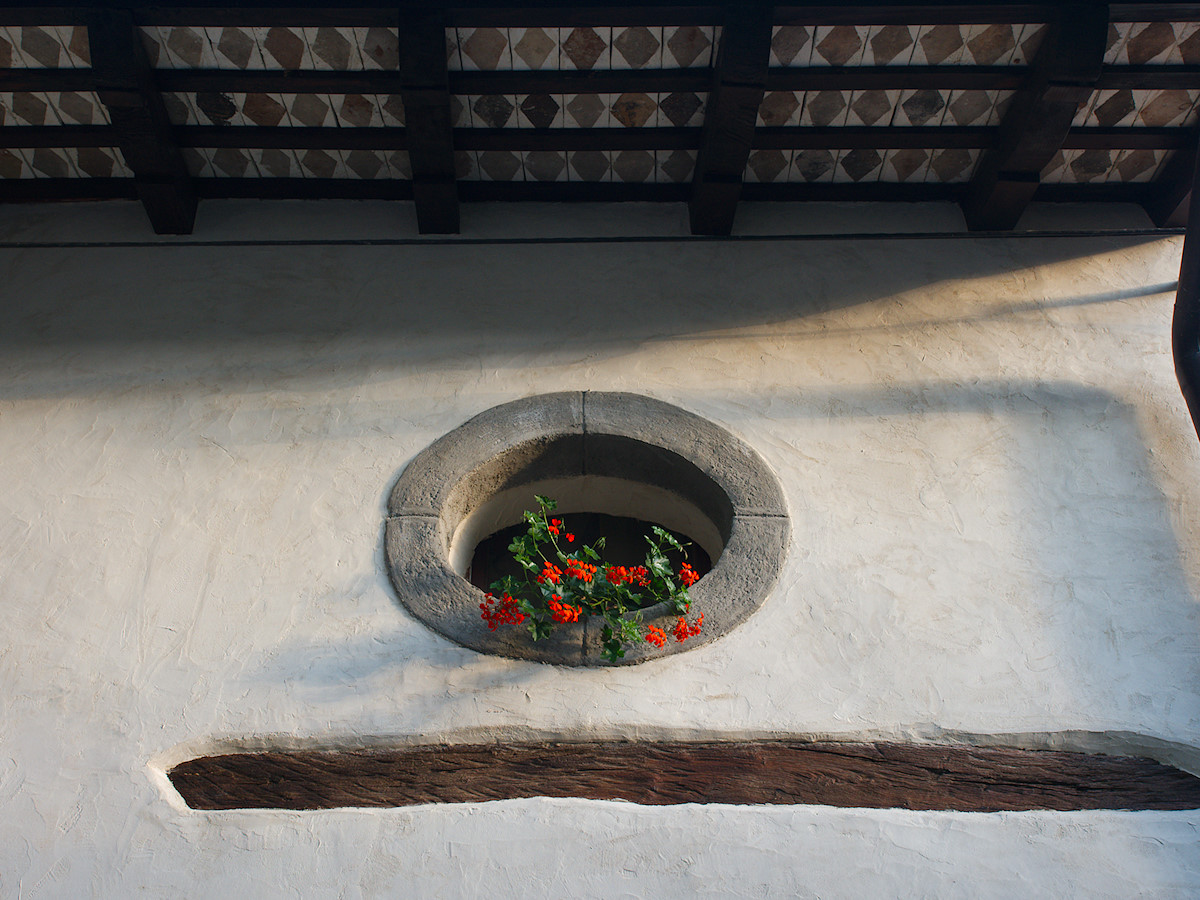 Flowered Window