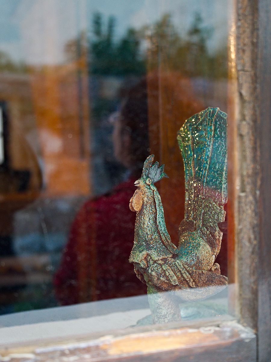 Rooster Behind Glass