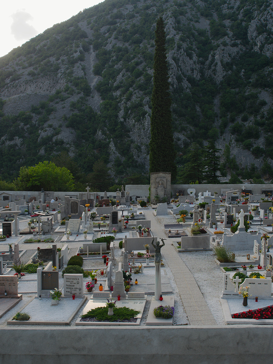 Graveyard Cypress