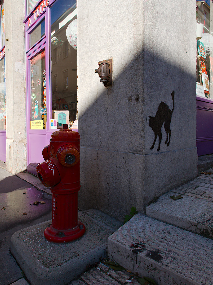 Le Chat Noir