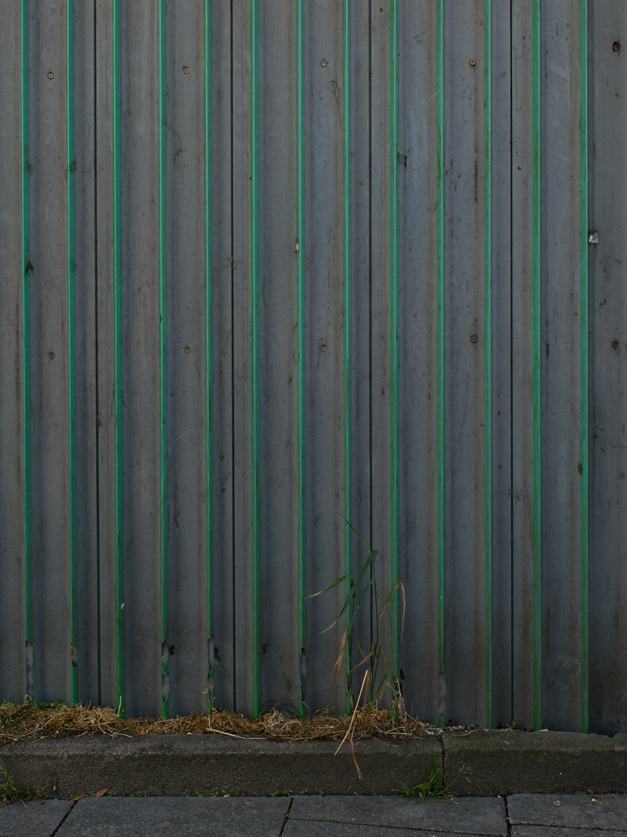 Grass