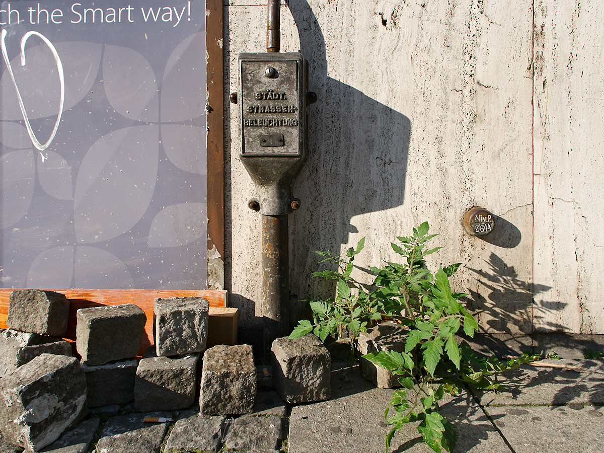 Urban Tomato