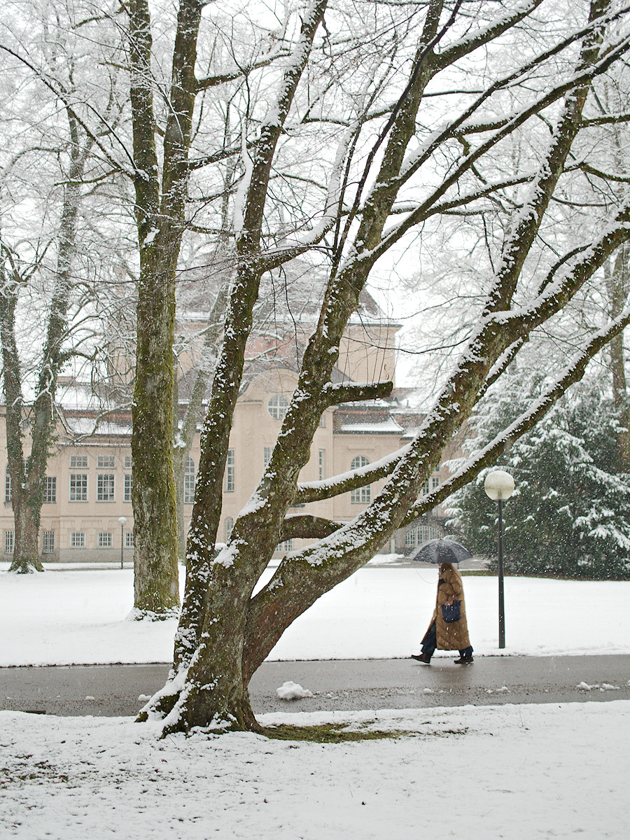 A Walk In The Park
