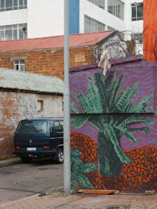 Palm On The Wall