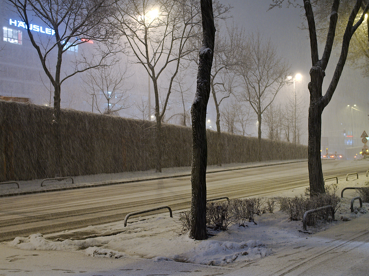 Snow over Trappentreu Street