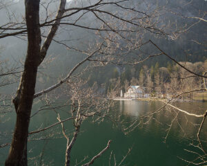 Where Dr. Freud loved to sit