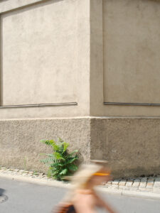 Wild Sumach and Biker