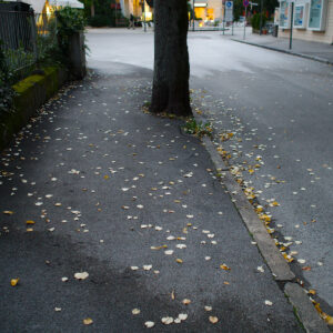 Gold and Silver Dollars