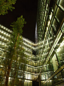 Trees and Glass