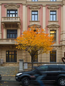 Downtown Fall