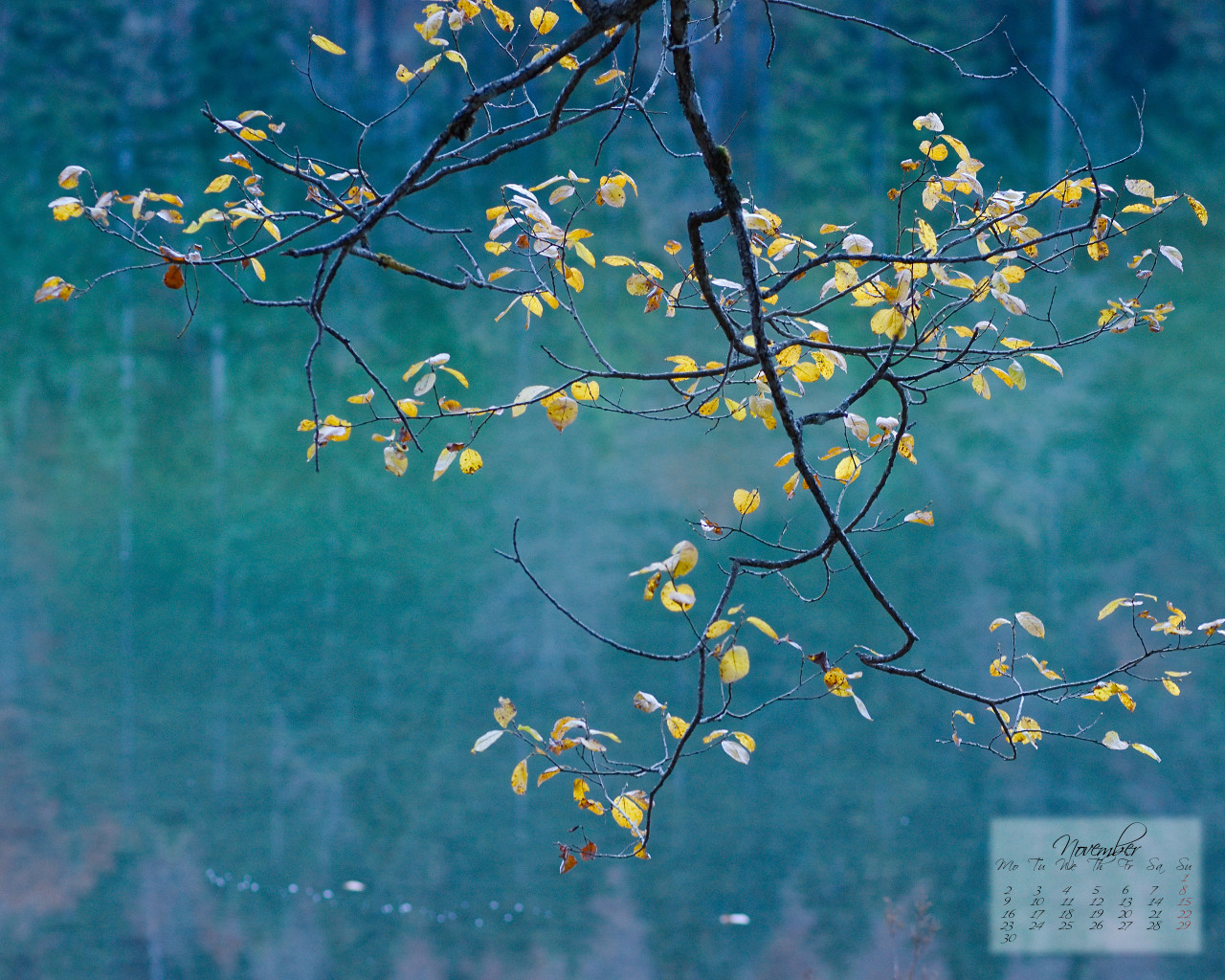 Cool November Wallpaper