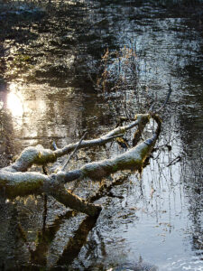 Backlight in the Cold 2