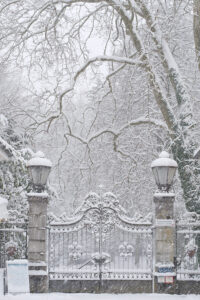 The glorious Past in Snow