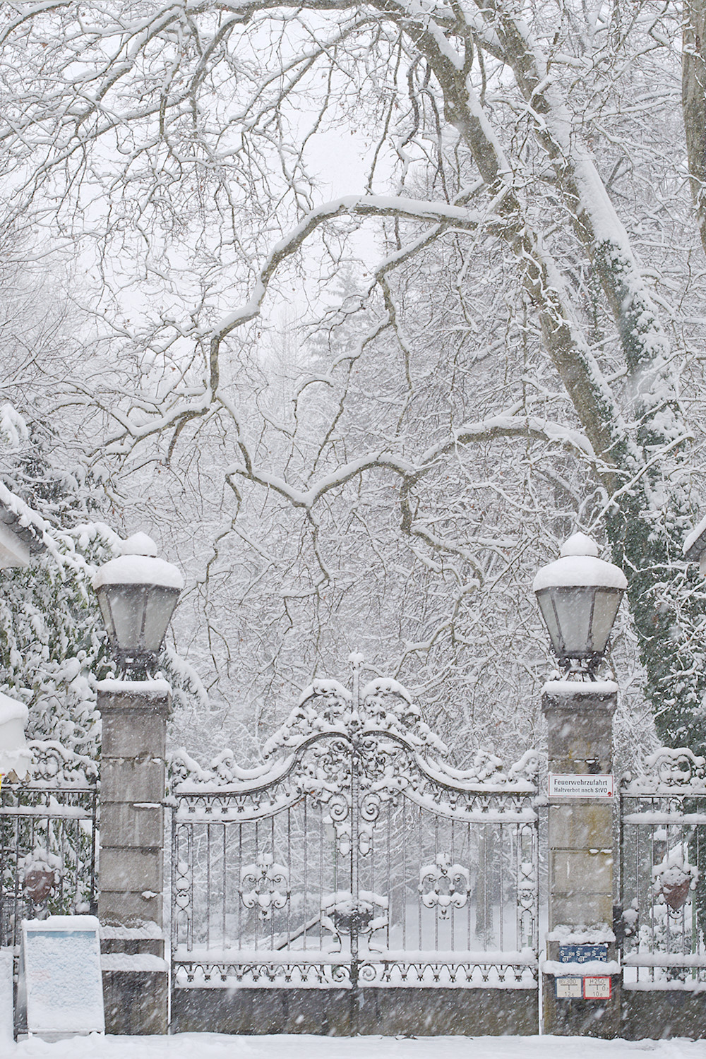 The glorious Past in Snow