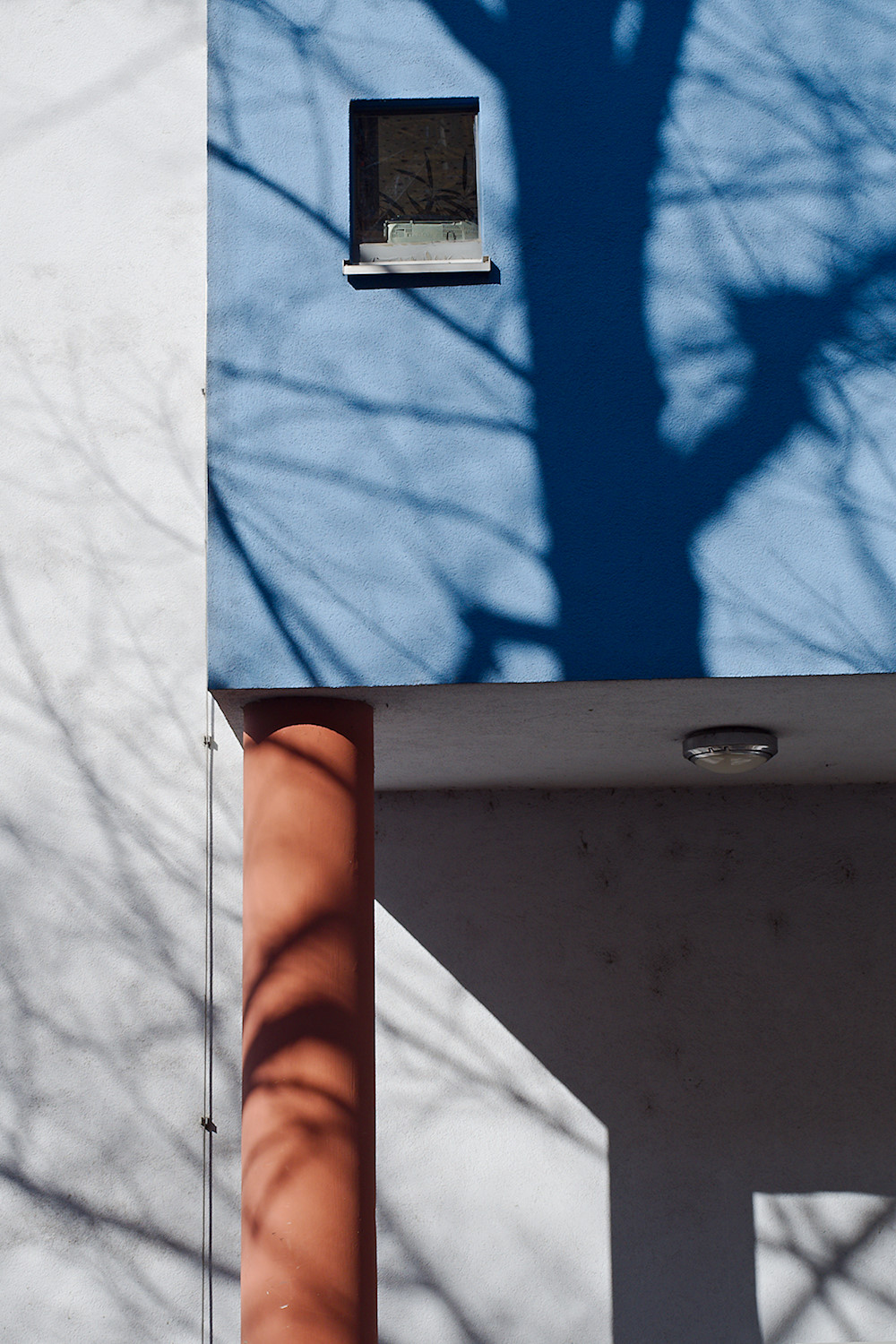 Wall Tree