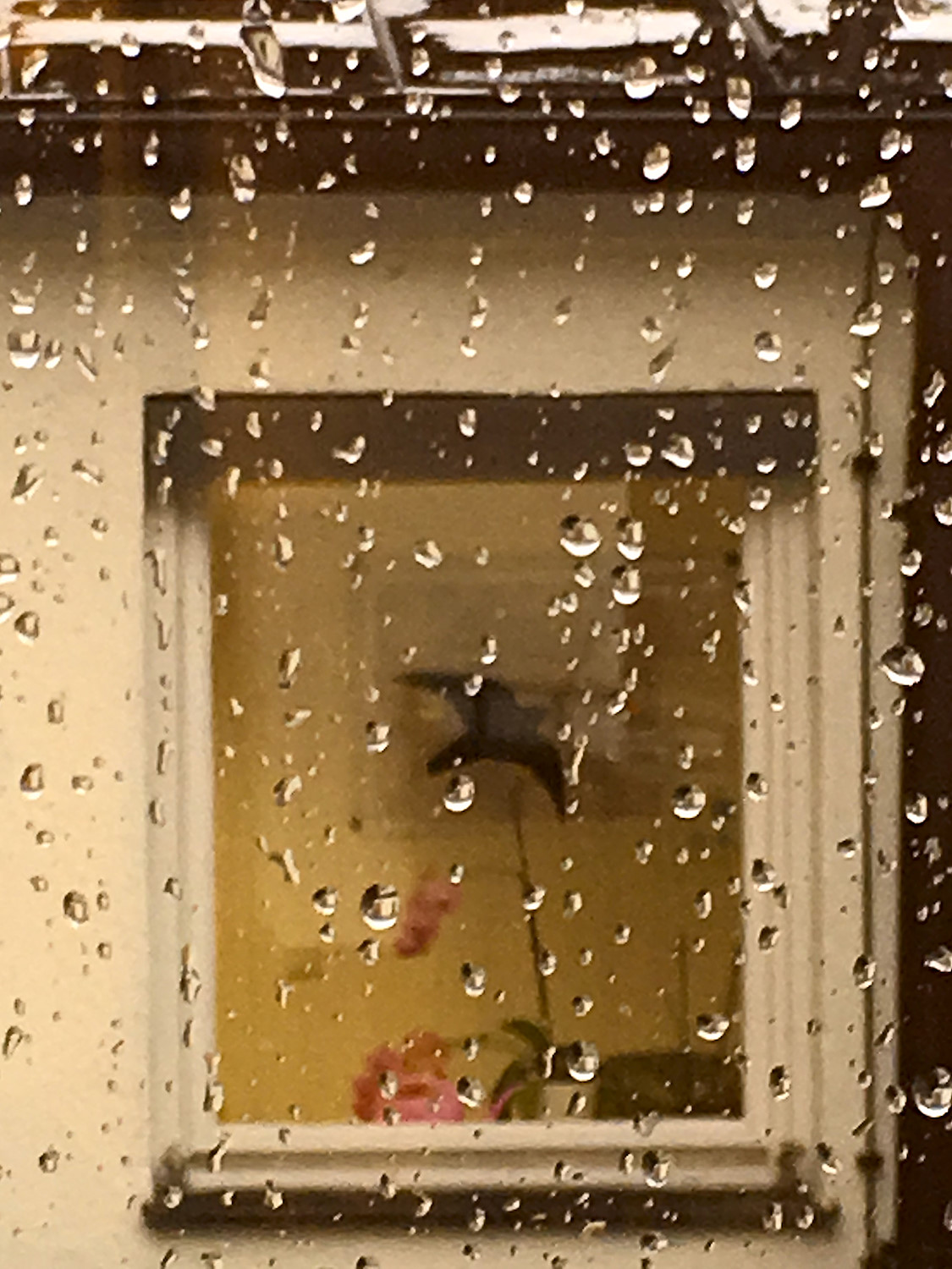 It’s raining