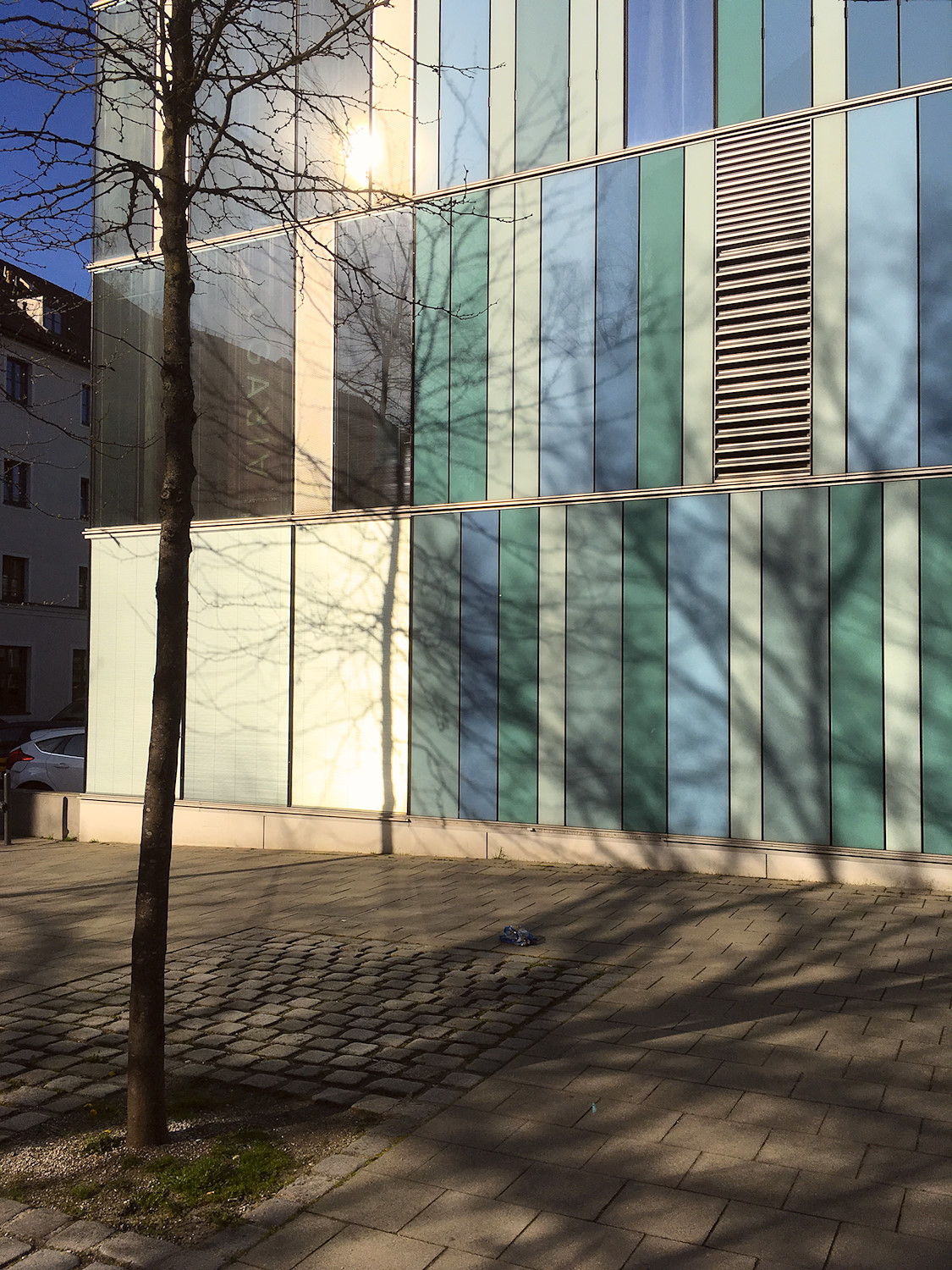 Low Sun Shadows