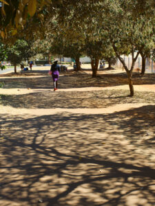 Open Shadows