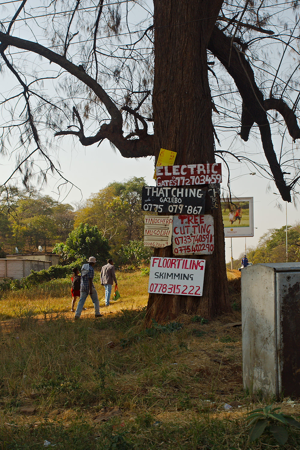 Advertisement Tree I