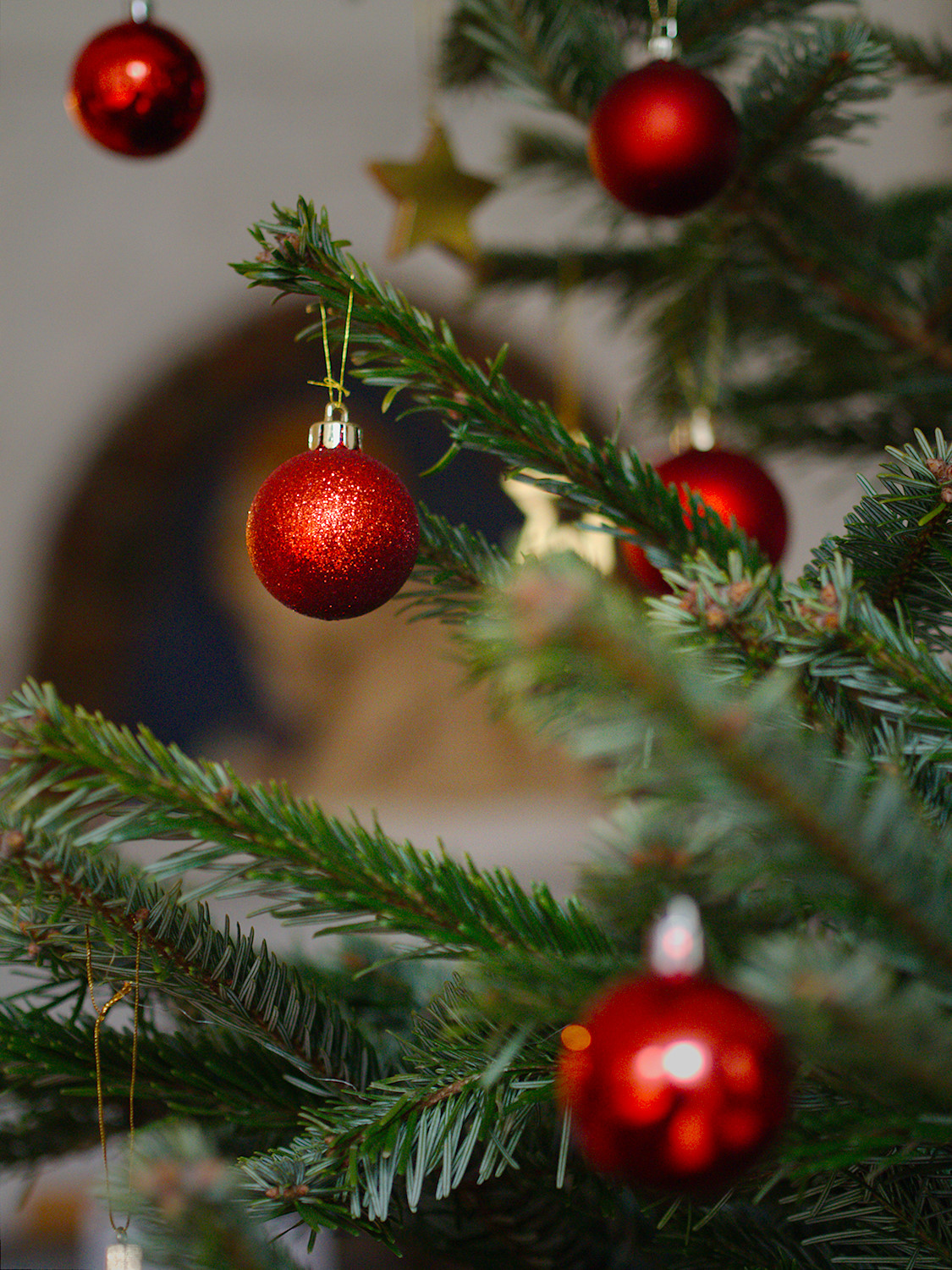 Merry Christmas 2016