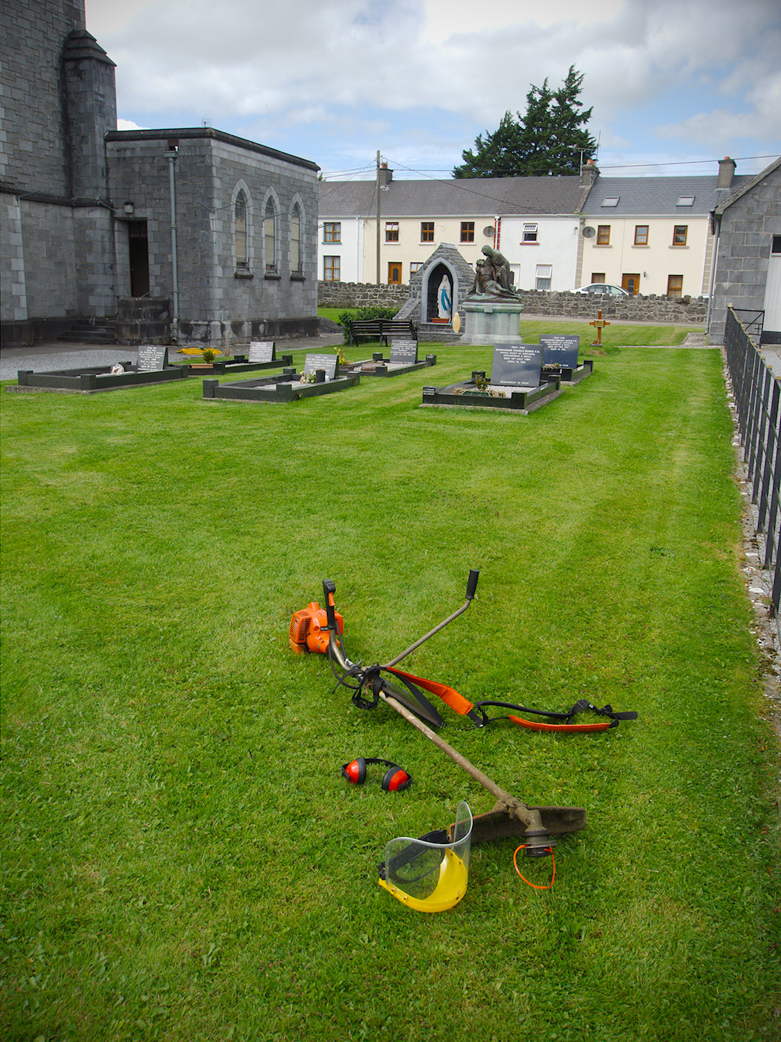 Yard Cleaning