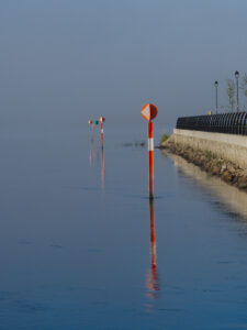 Early Shannon Morning
