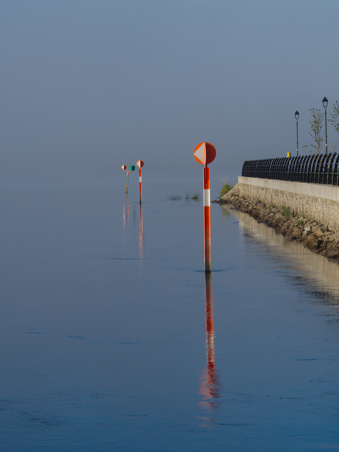 Early Shannon Morning