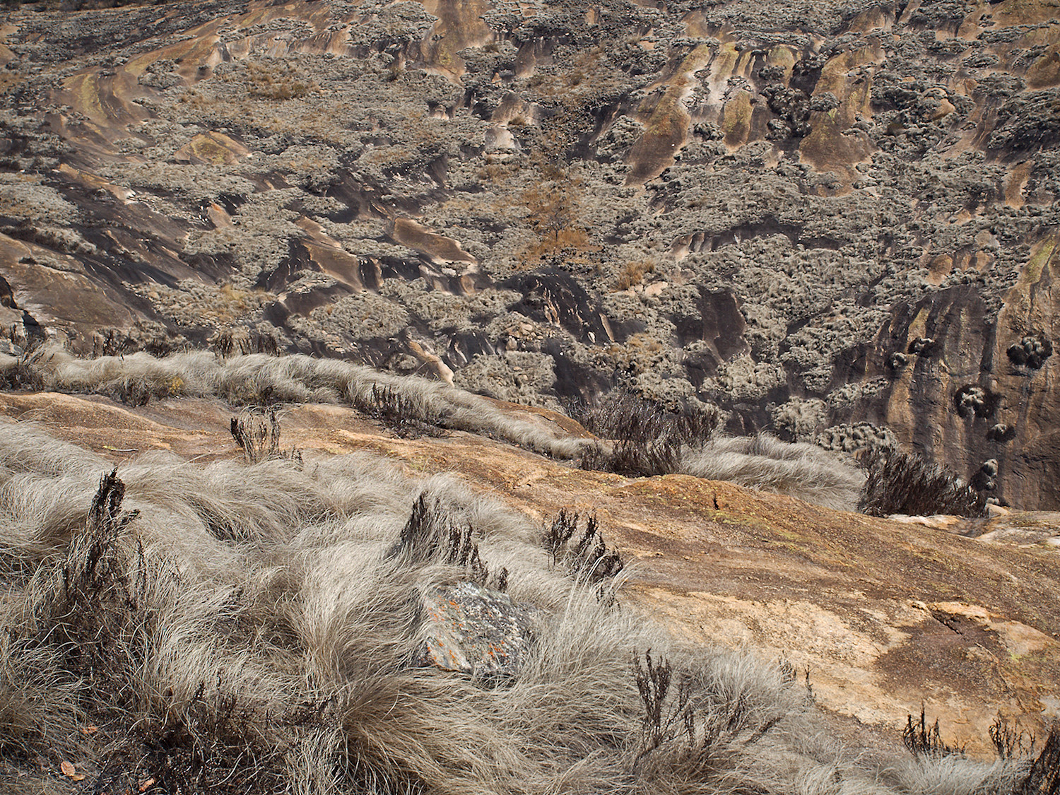 Dry Valley