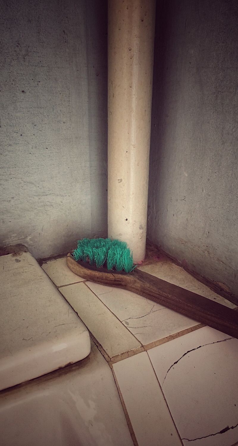 The Brush