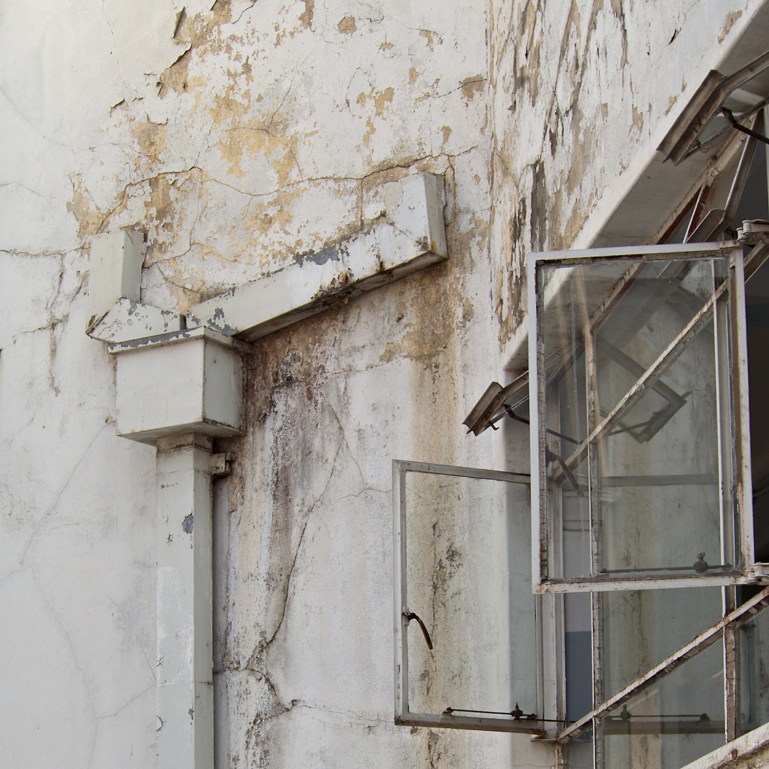 Wall Decoration