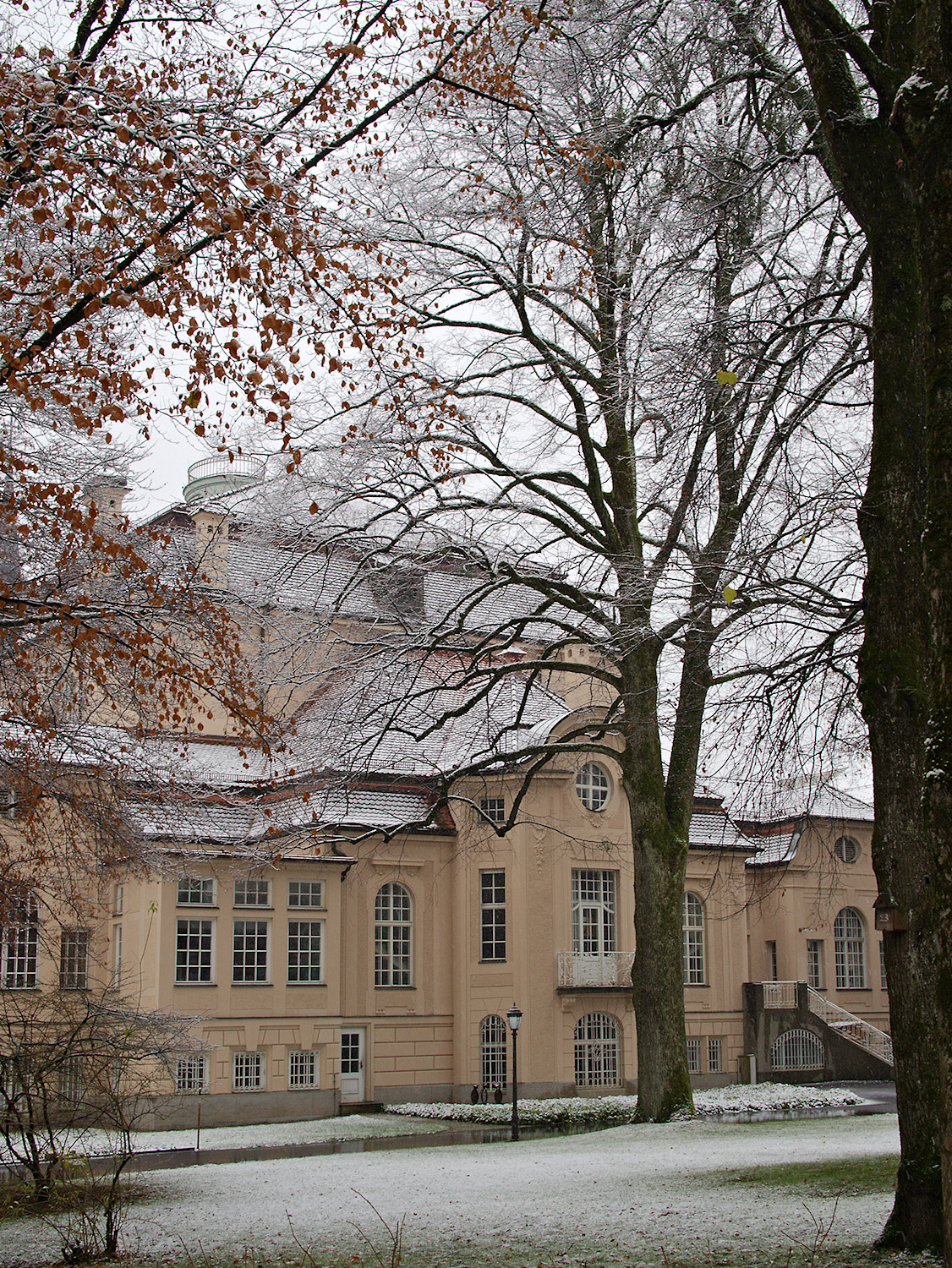 A wee bit of Snow