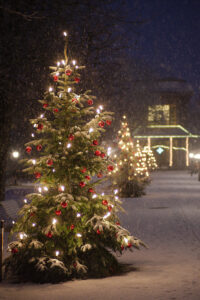 The Snow that was meant for Christmas